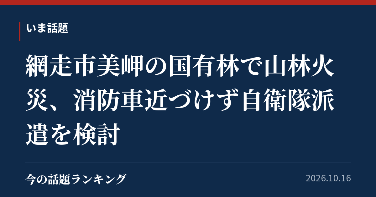 網走市美岬の国有林で山林火災、消防車近づけず自衛隊派遣を検討