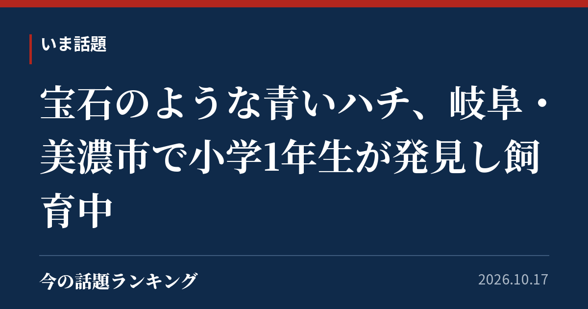 宝石のような青いハチ、岐阜・美濃市で小学1年生が発見し飼育中